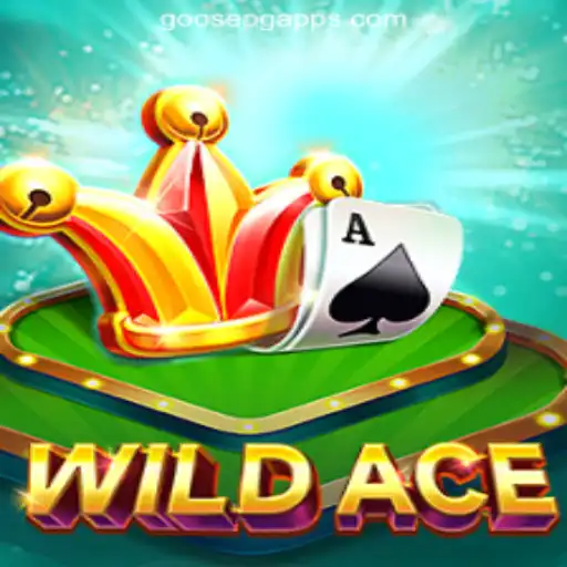 WildAce: Dive Into Brazil's Top Gaming Experience